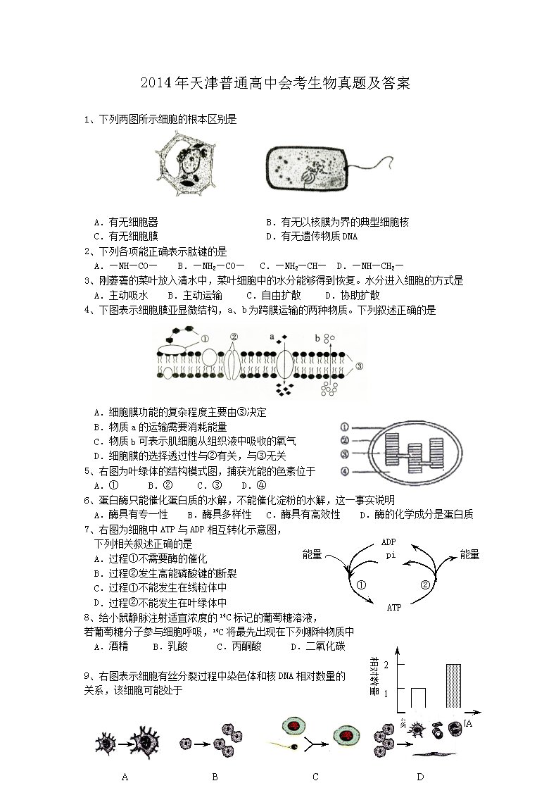 2015年山东普通高中会考生物考试真