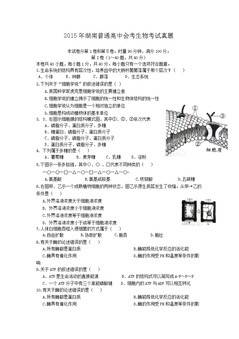 2008年安徽普通高中会考生物真题及