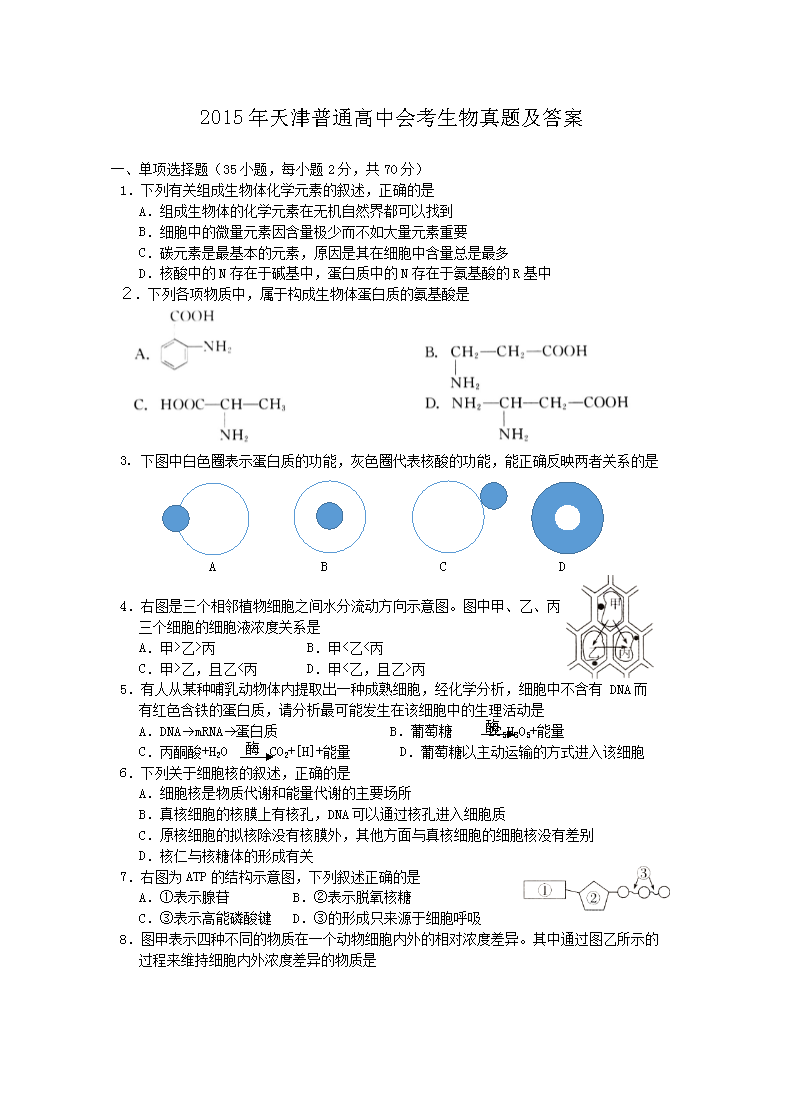 2010年安徽普通高中会考生物真题及