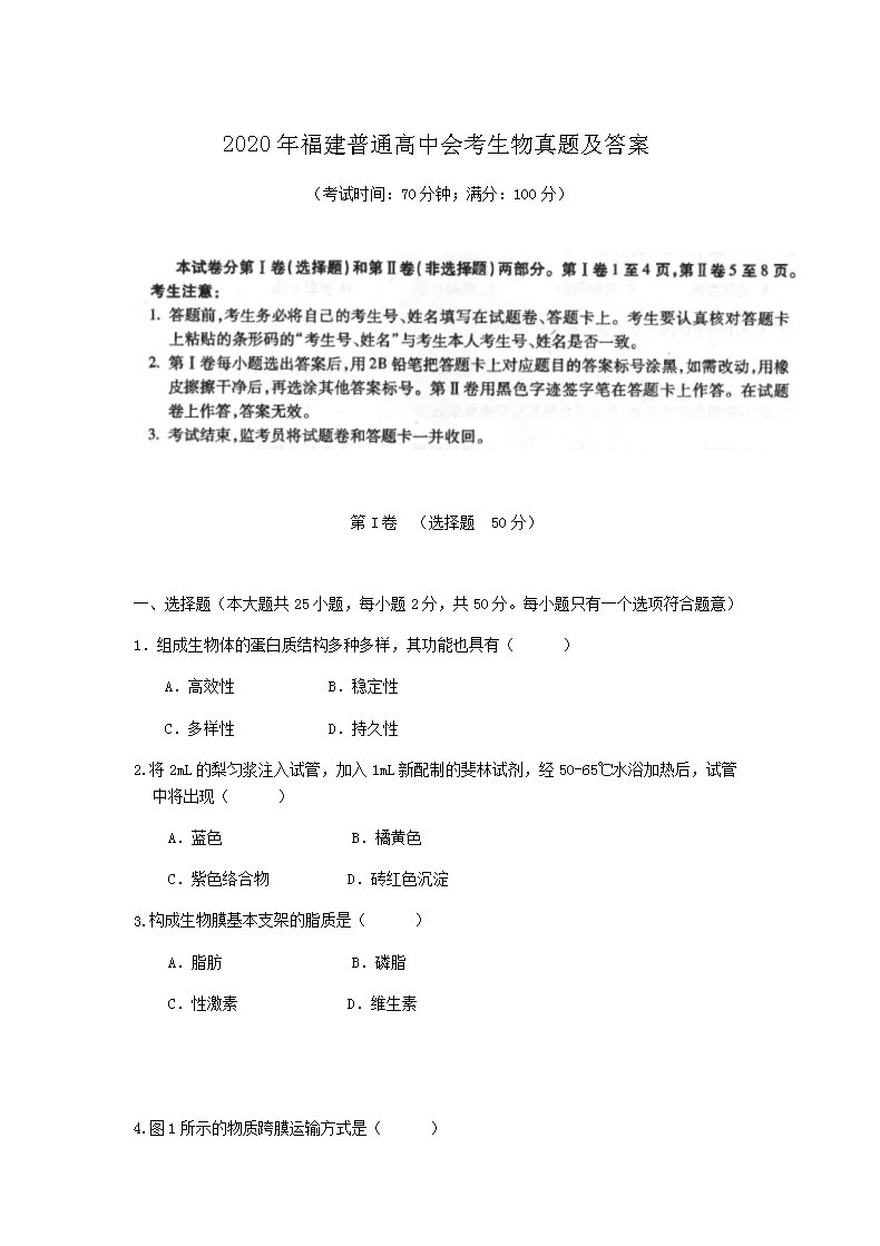 雅博app官网登录入口携手欧洲杯开启