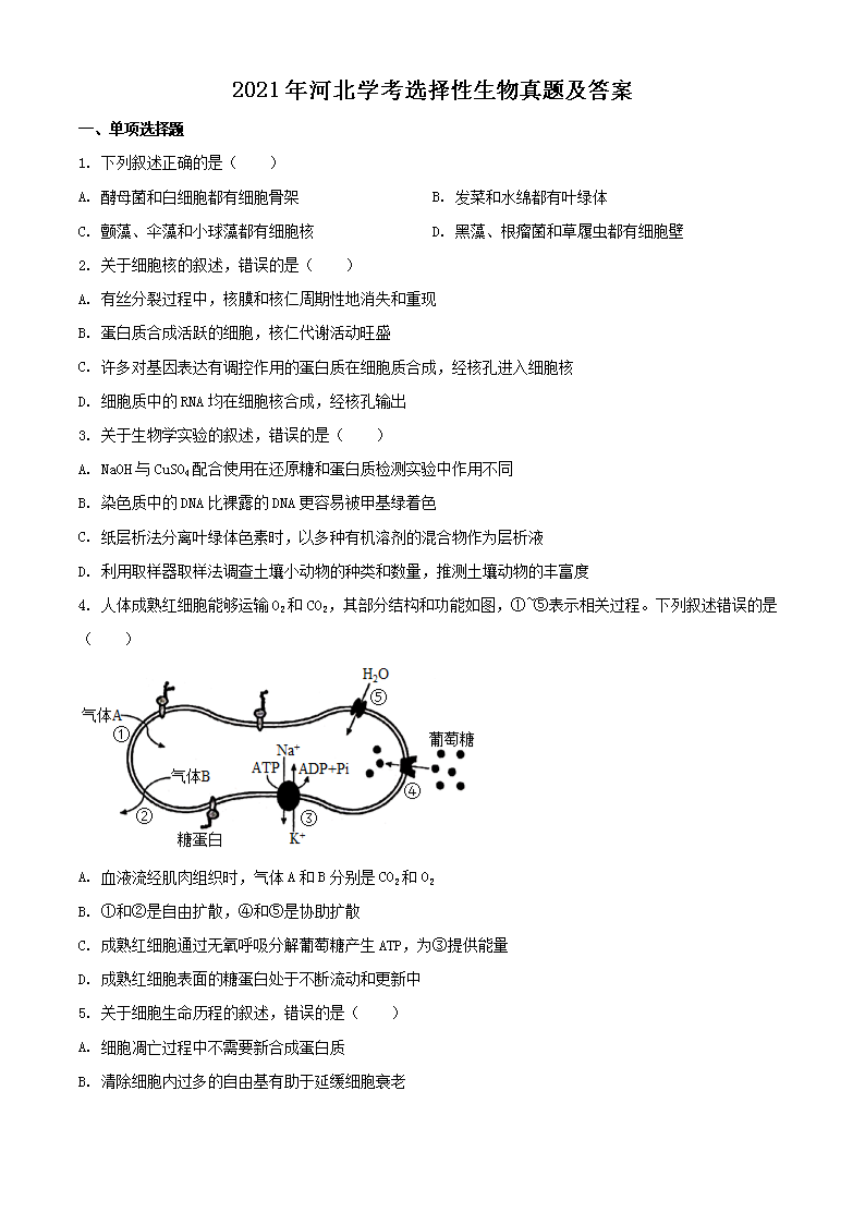 若从搜索引擎进入