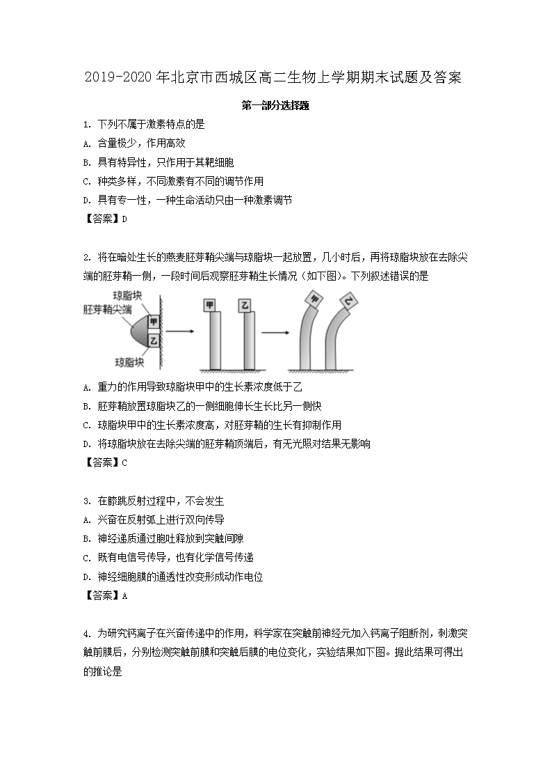 相关阅读