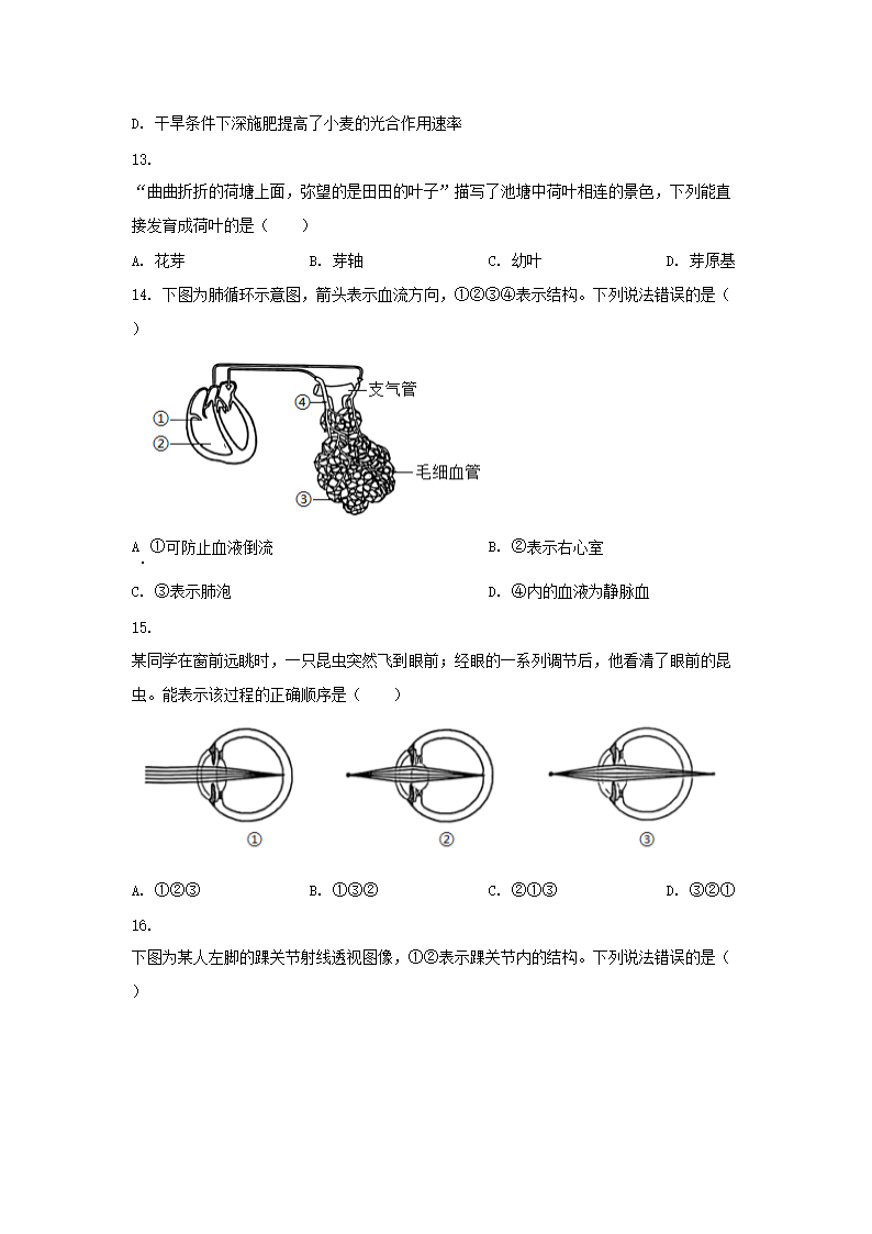 前五页预览如下