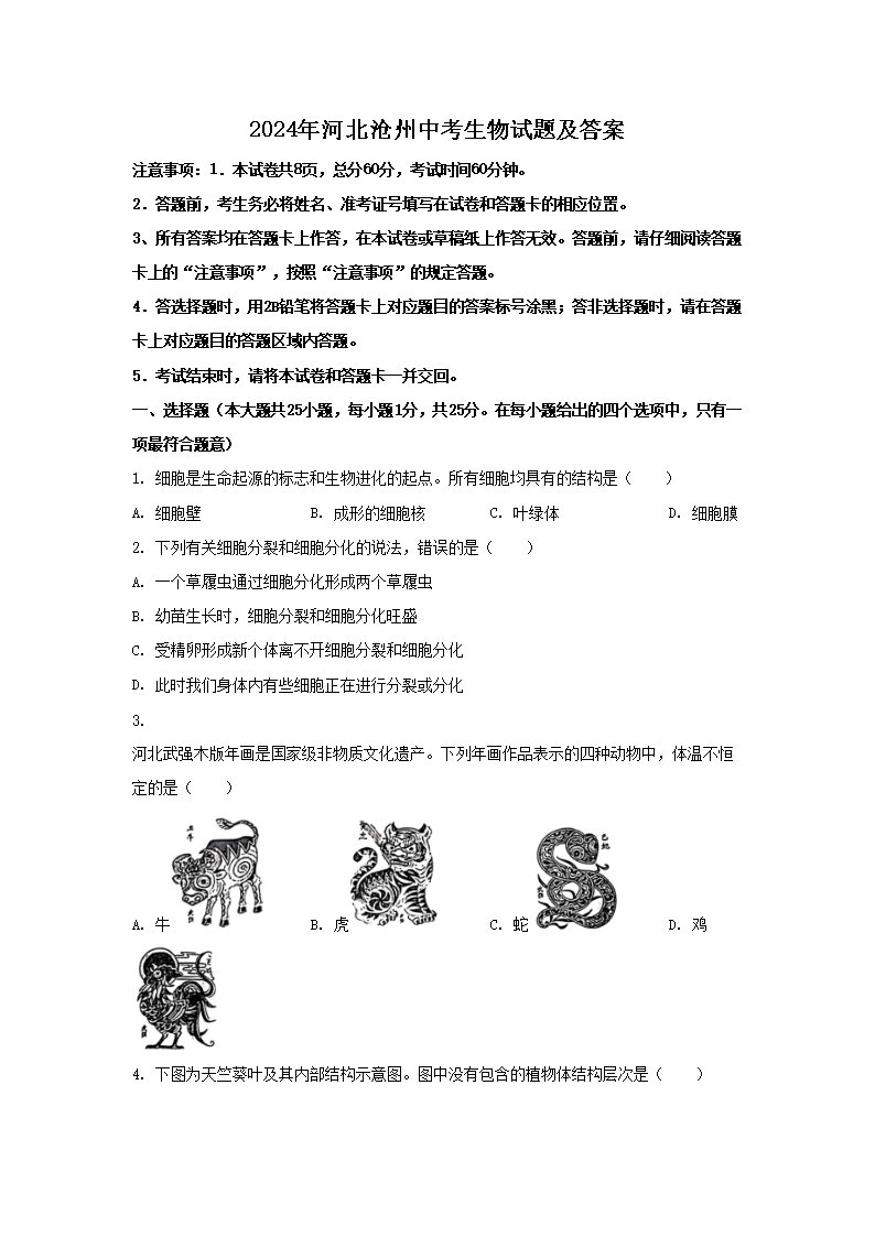 2023年河北沧州中考历史真题及答案