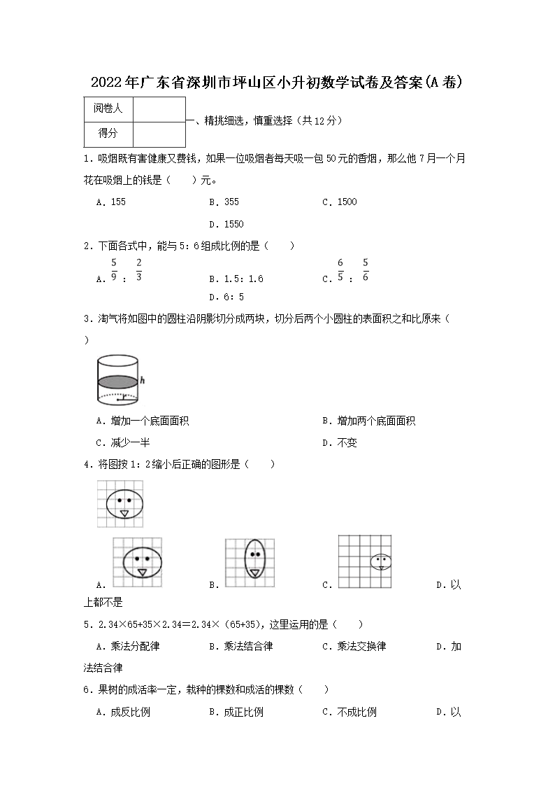 2023年广东省深圳市福田区小升初英