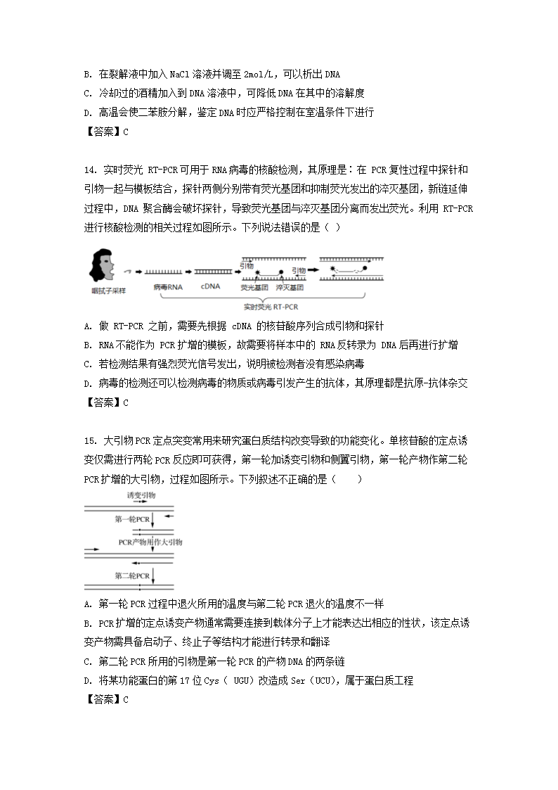 前五页预览如下