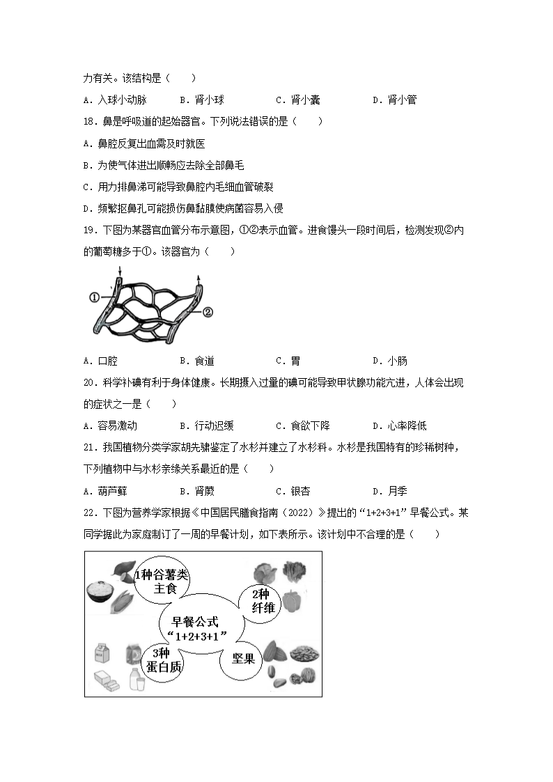 前五页预览如下