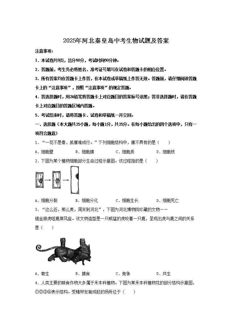 【文档名称】 2025年河北秦皇岛中